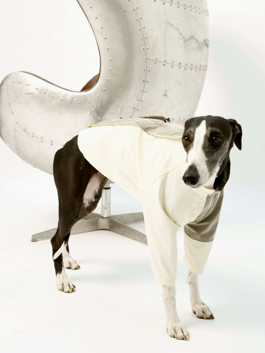 WeatherFlex RoverShell Dog Jacket - 2&4 PETS