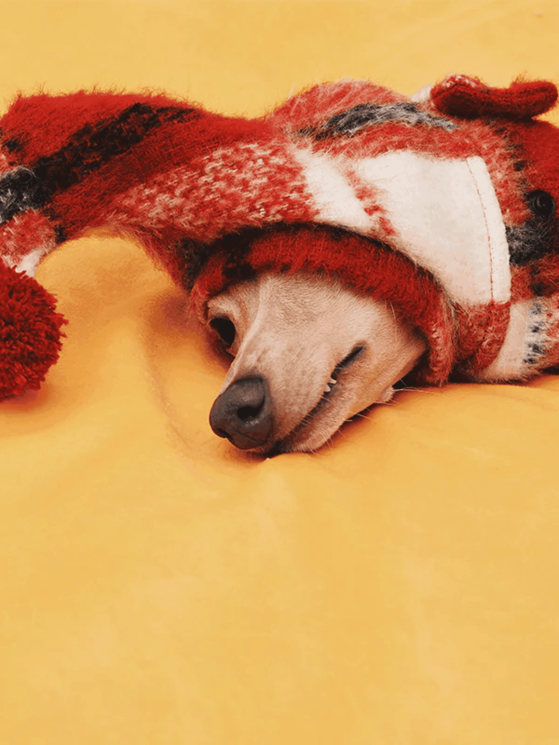 Winter Snood with Pom