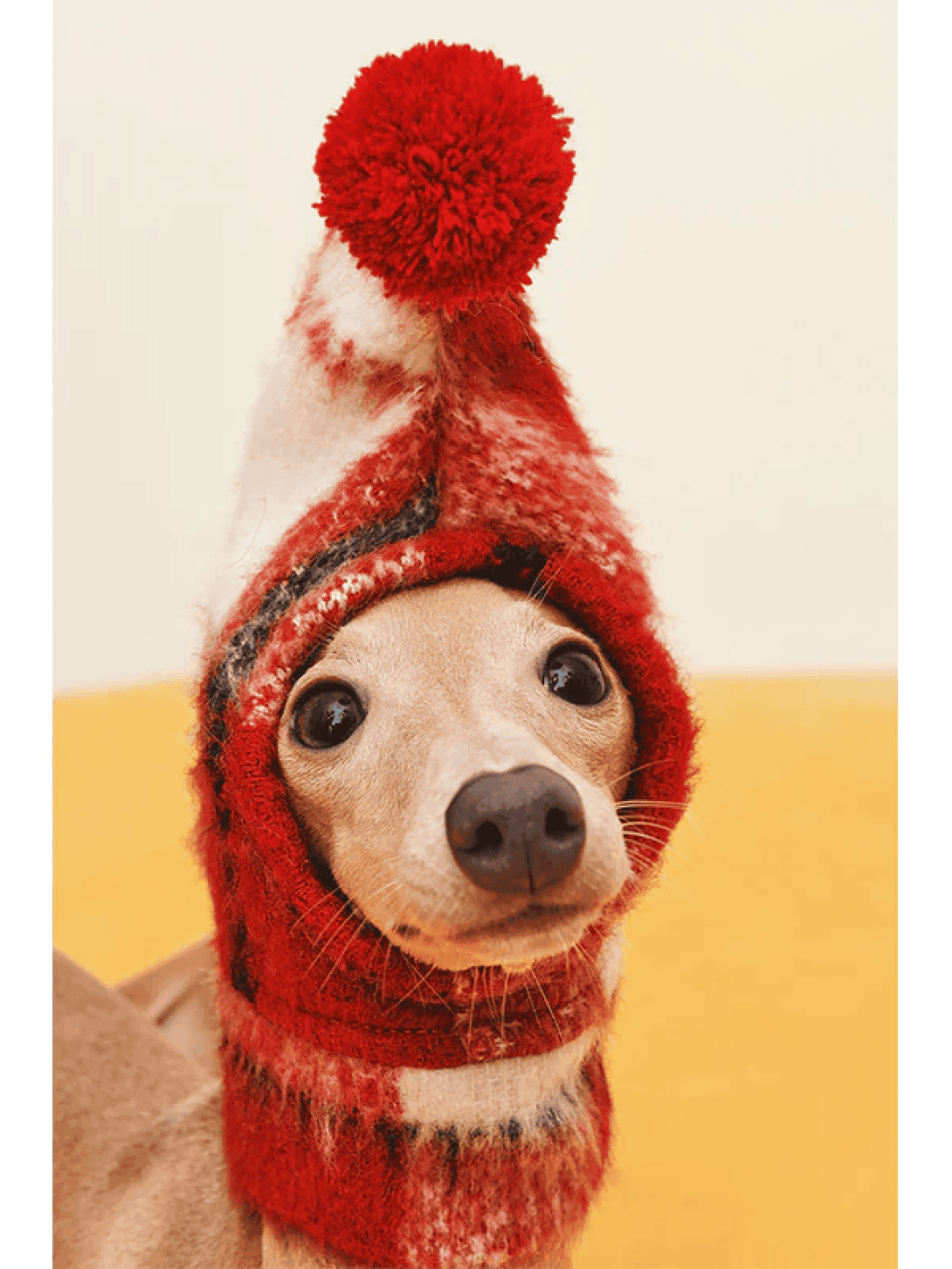 Winter Snood with Pom