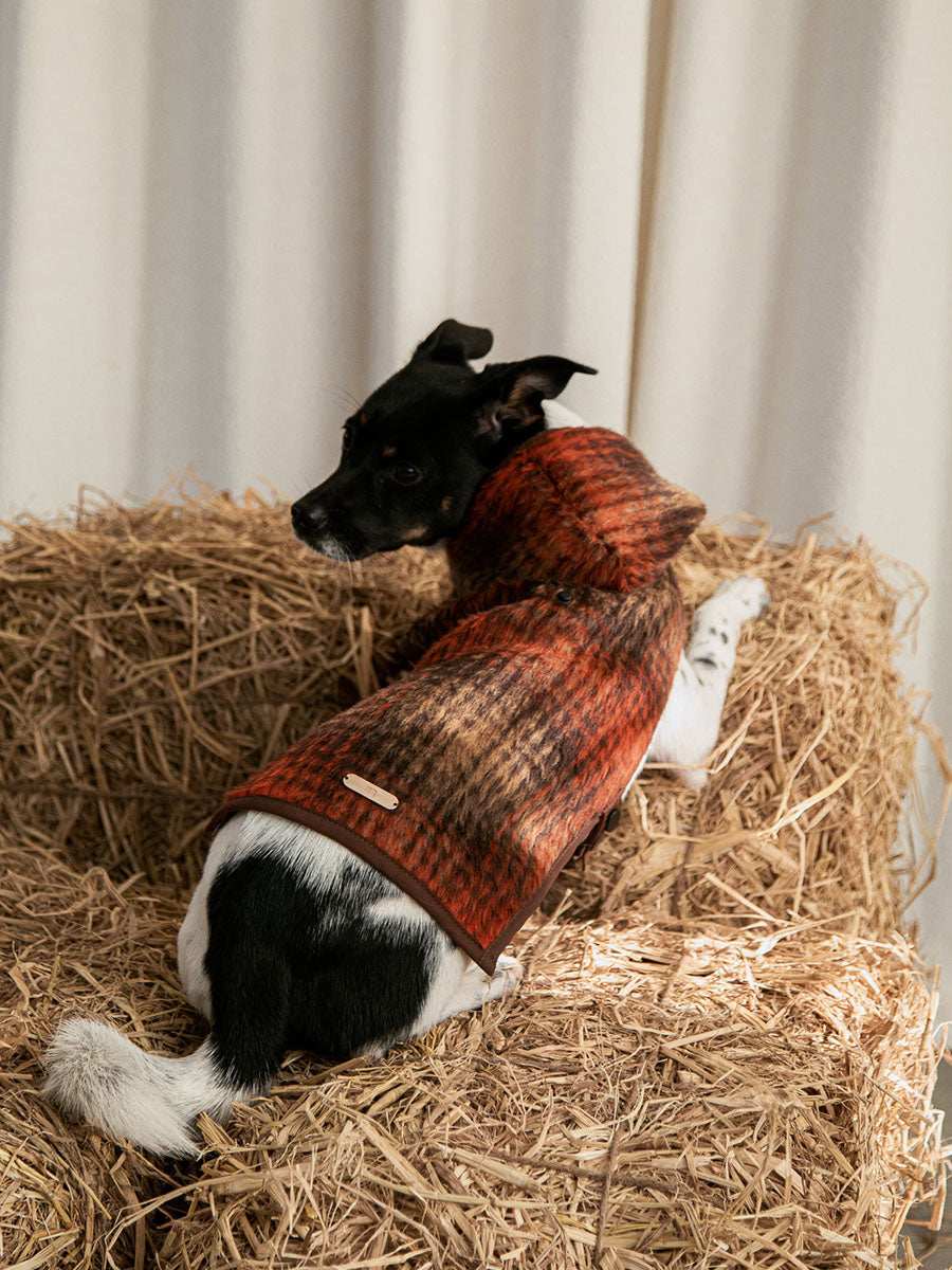 Wool Buckle Dog Jacket