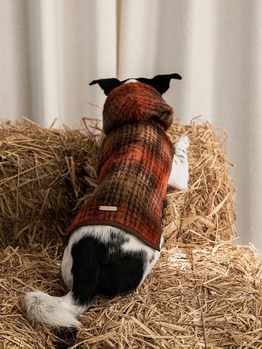 Wool Buckle Dog Jacket