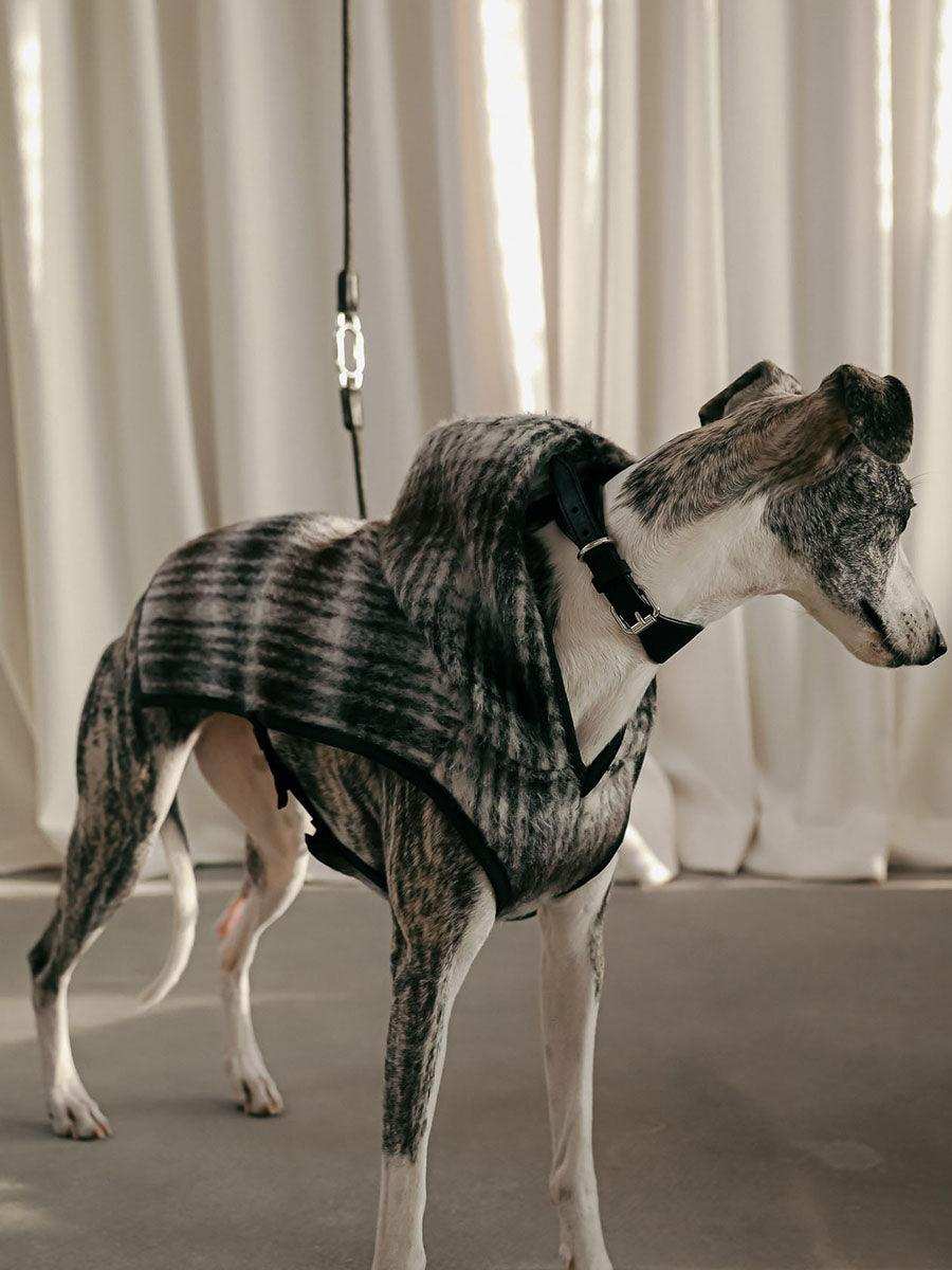 Wool Buckle Dog Jacket