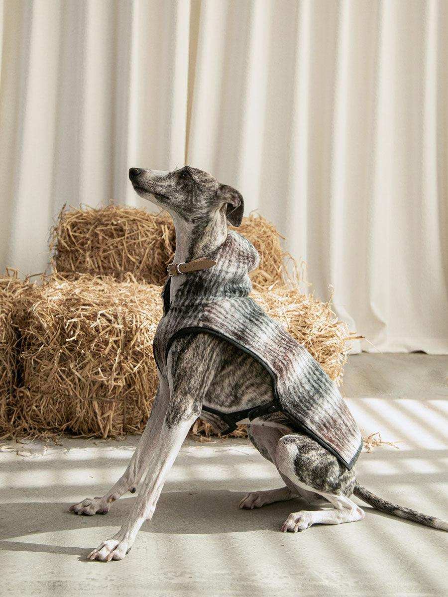 Wool Buckle Dog Jacket